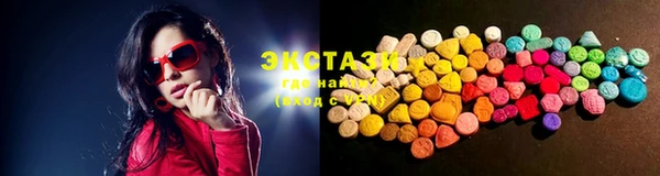 индика Кинешма