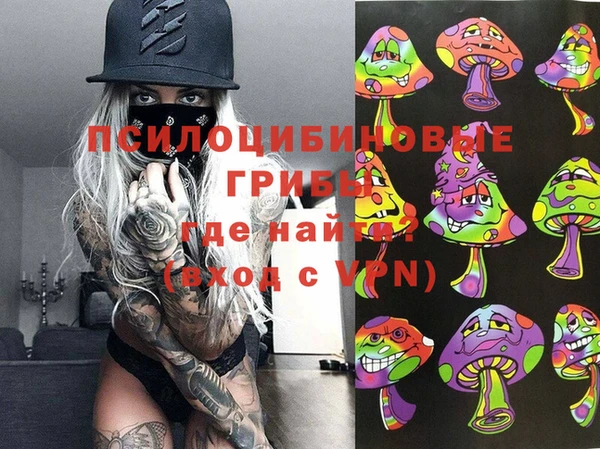 СК Аркадак