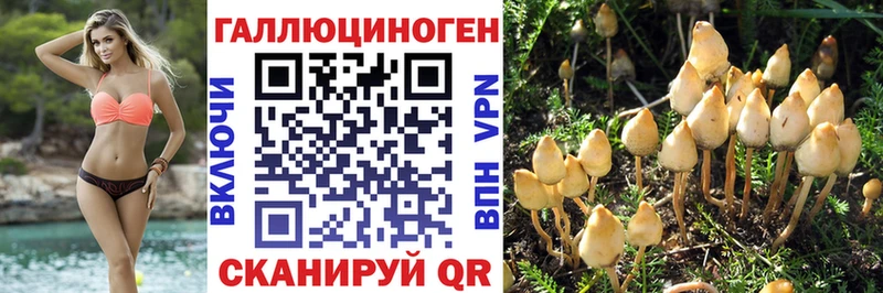 Псилоцибиновые грибы Psilocybe  MEGA вход  Тобольск 