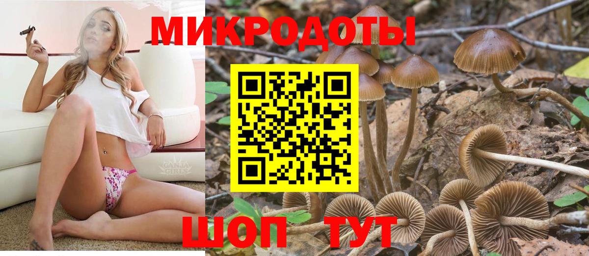 Галлюциногенные грибы мицелий Тобольск
