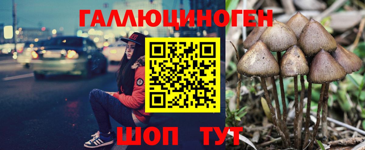 Галлюциногенные грибы Magic Shrooms  даркнет сайт  Тобольск  Вход с VPN 