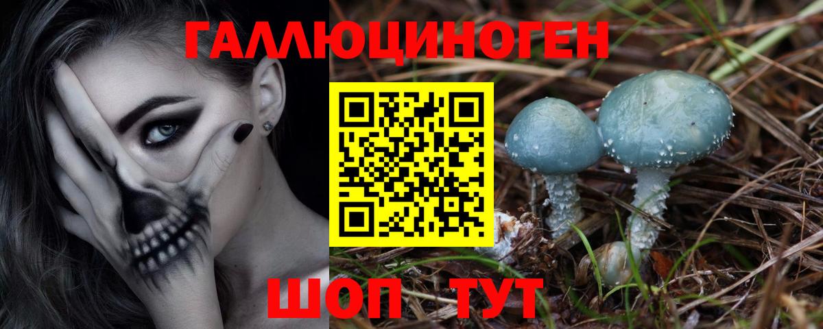 Тобольск  Псилоцибиновые грибы MAGIC MUSHROOMS  Вход с VPN 