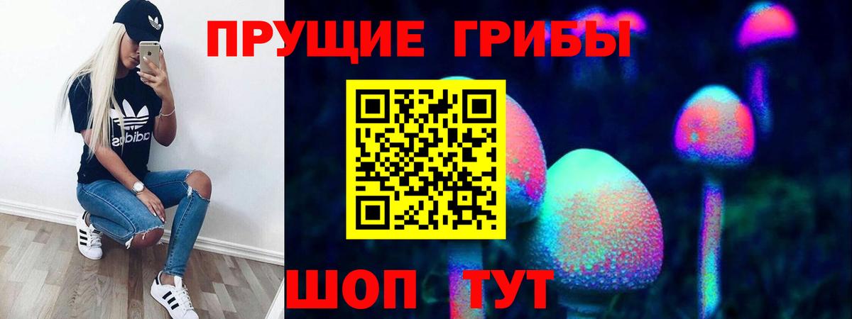 Галлюциногенные грибы Psilocybe Тобольск